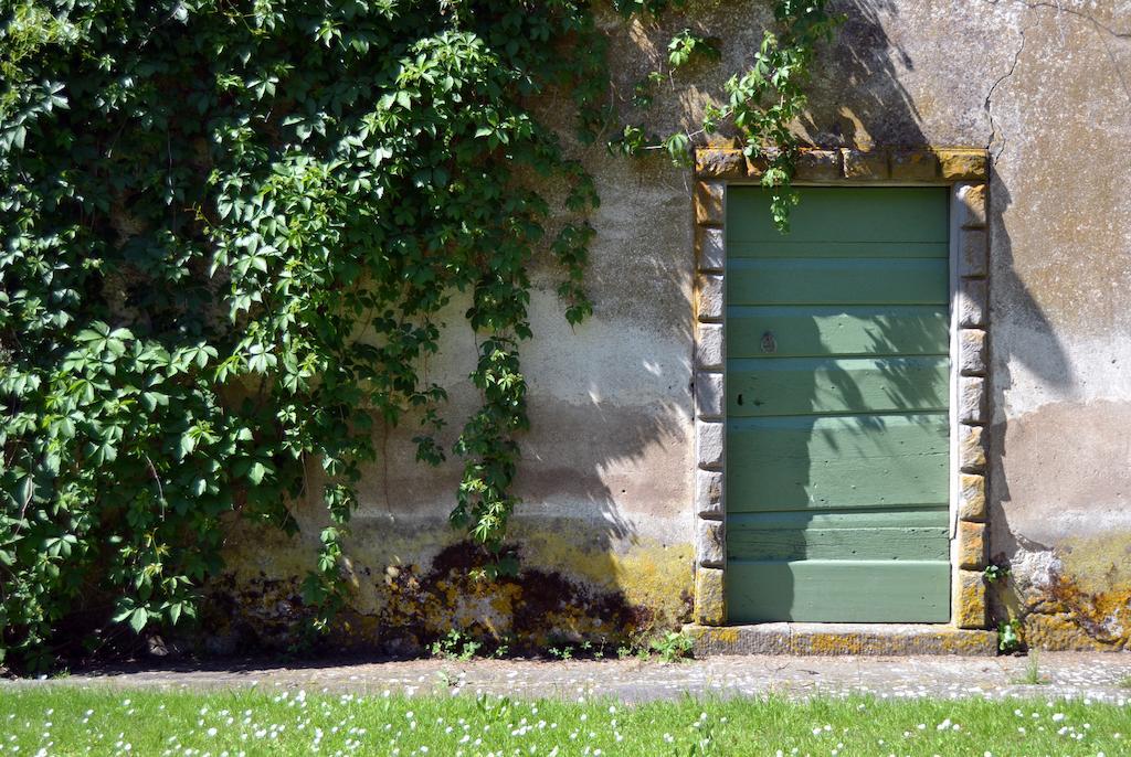 Locanda Di Praticino Rufina المظهر الخارجي الصورة
